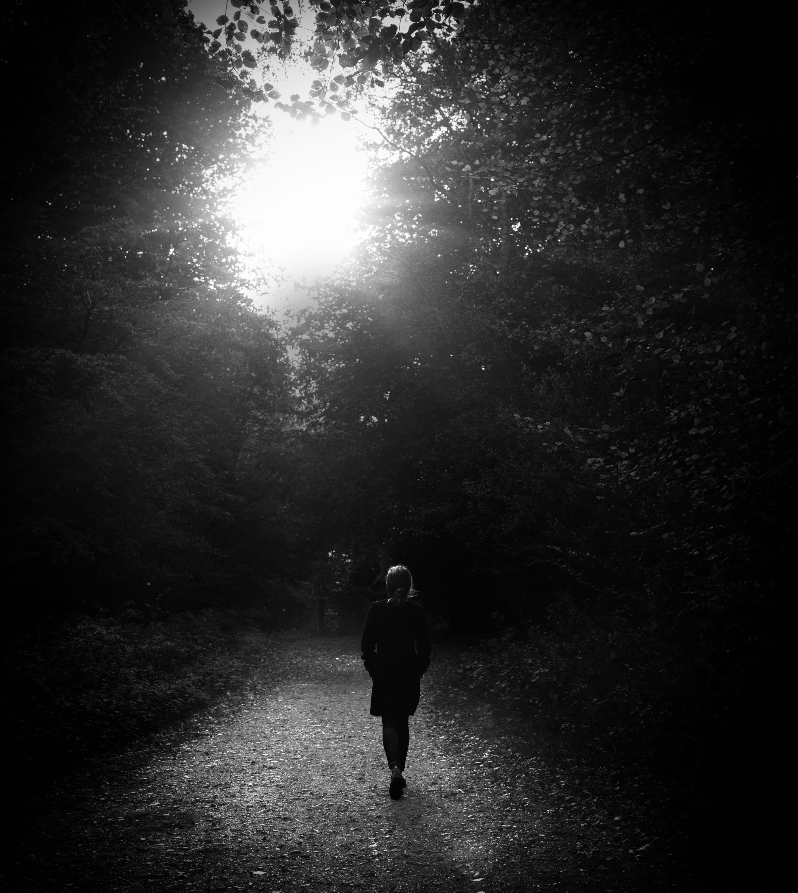 Venus In Chains Artwork